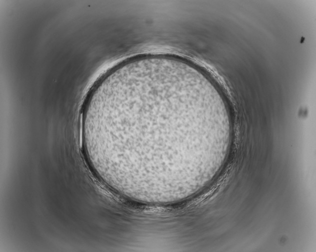 X0000097921175200804111131