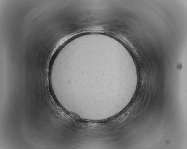 X0000097921176200804111131