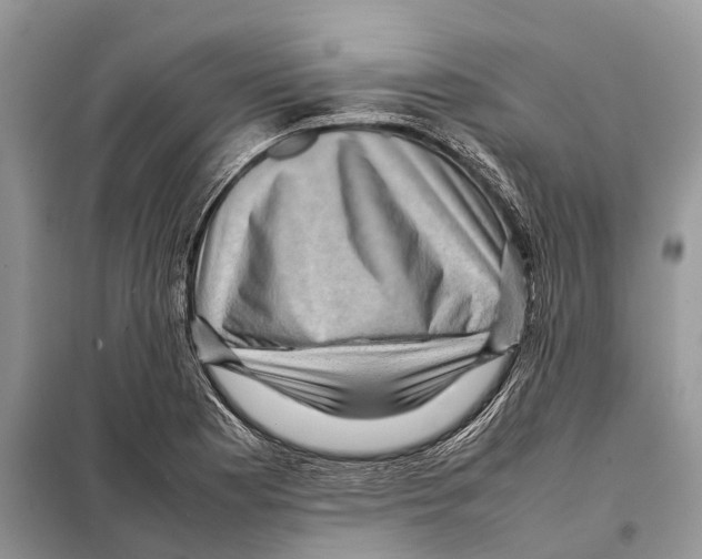 X0000097921177200804111131