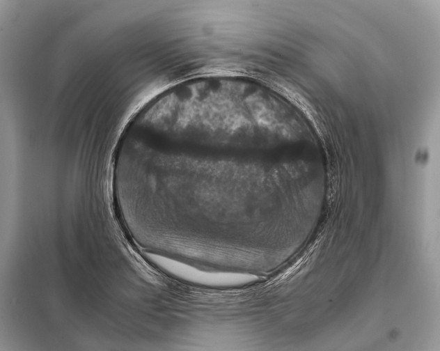 X0000097921179200804111131