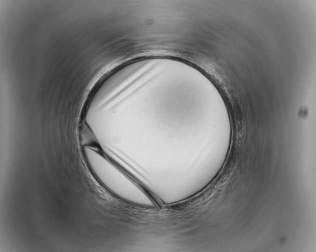 X0000097921181200804111131