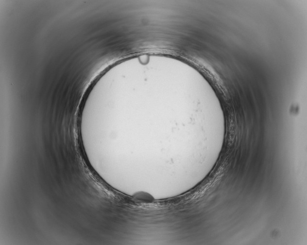 X0000097921182200804111131