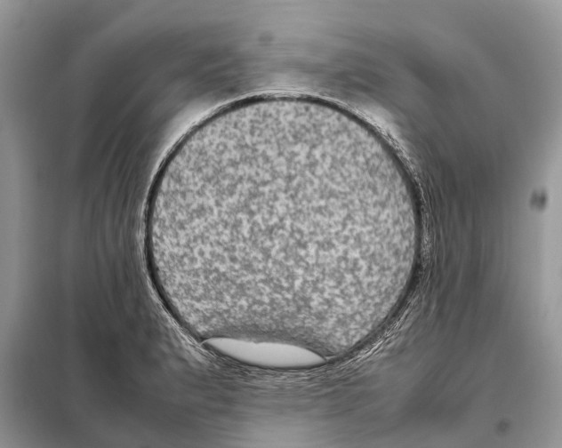 X0000097921183200804111131