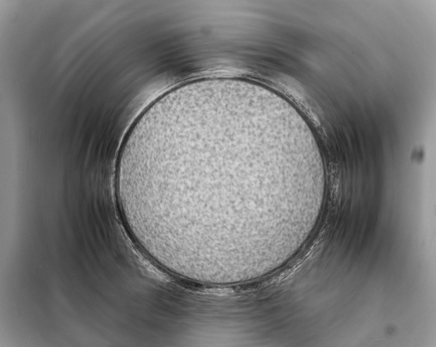 X0000097921186200804111131