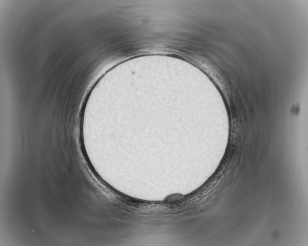 X0000097921187200804111131