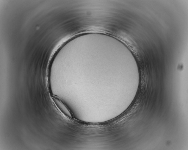 X0000097921188200804111131