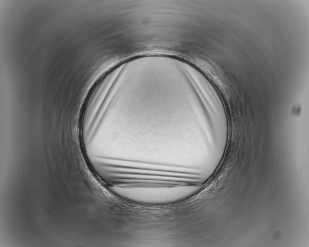 X0000097921189200804111131