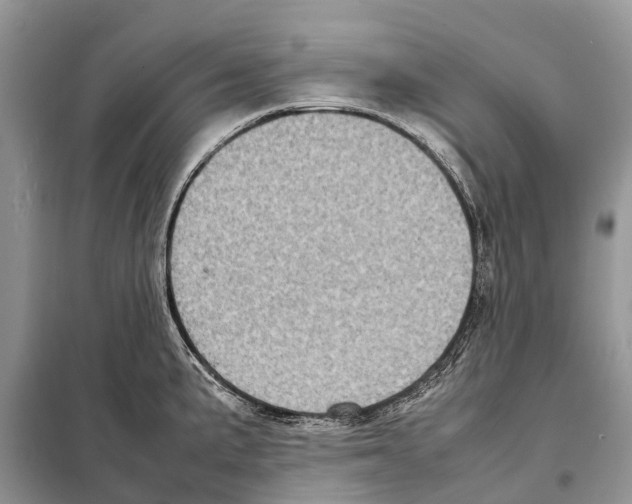 X0000097921191200804111131