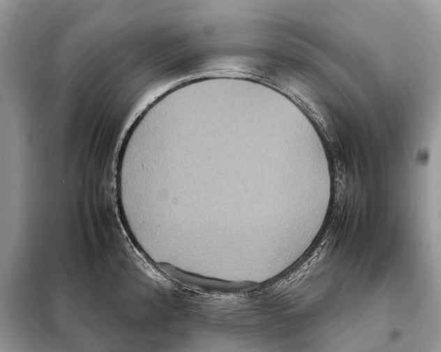 X0000097921192200804111131