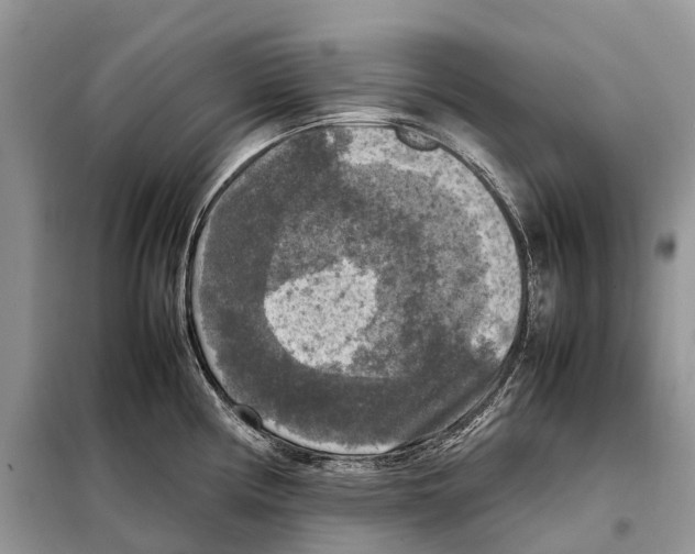 X0000097921194200804111131