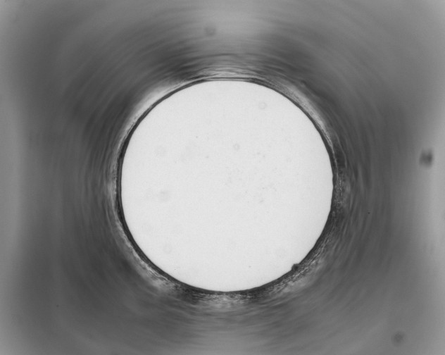 X0000097921195200804111131