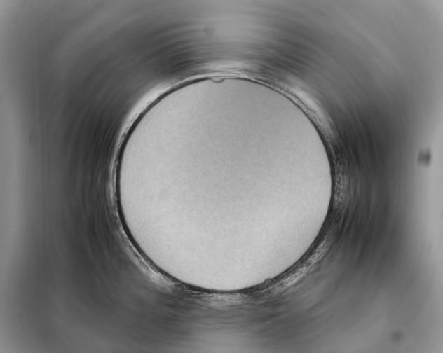 X0000097921196200804111131