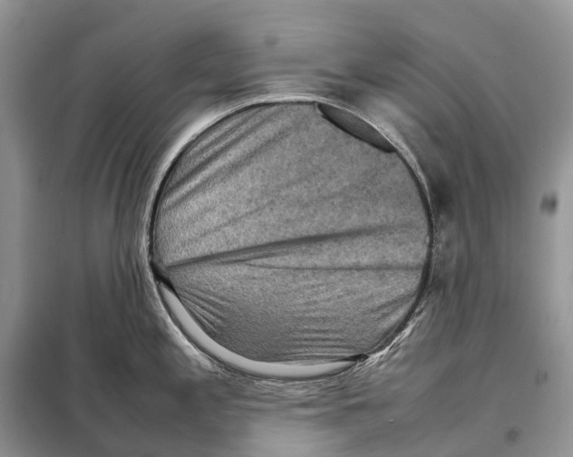 X0000097921197200804111131