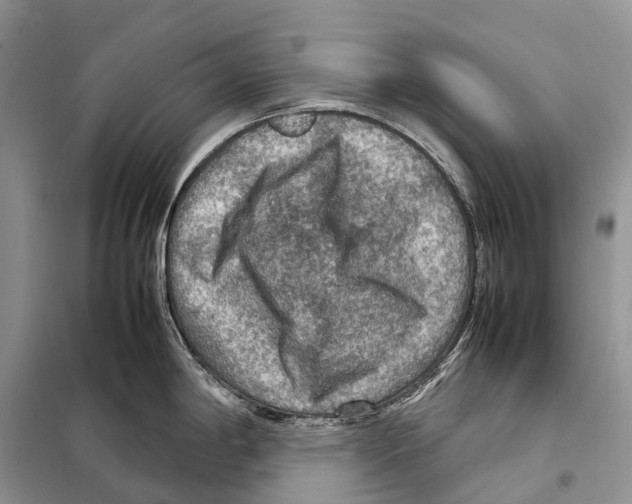 X0000097921198200804111131