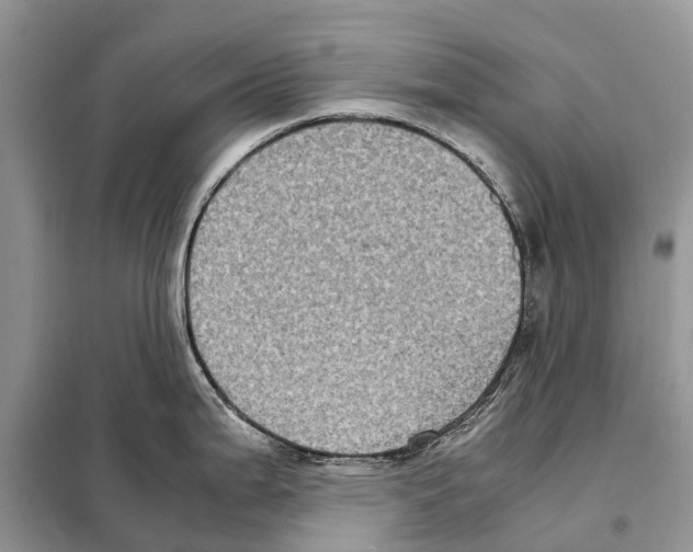 X0000097921199200804111131