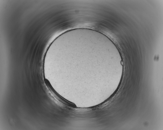 X0000097921200200804111131