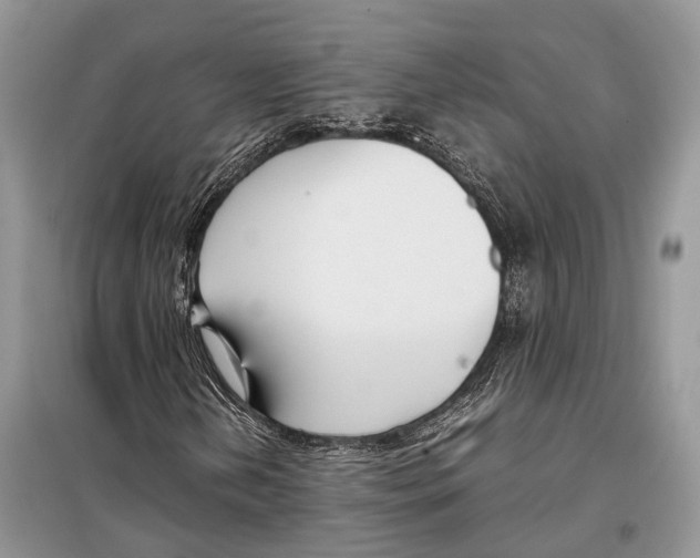 X0000097921202200804111130