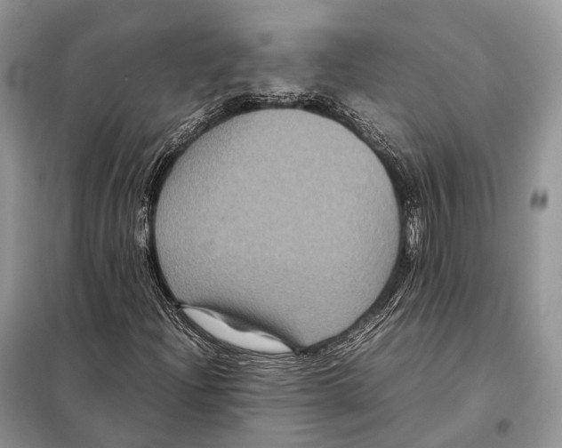 X0000097921204200804111130