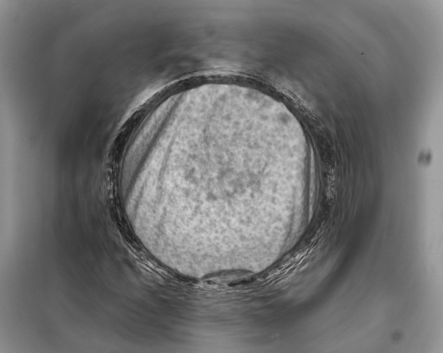 X0000097921208200804111130