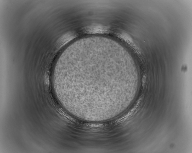 X0000097921209200804111130