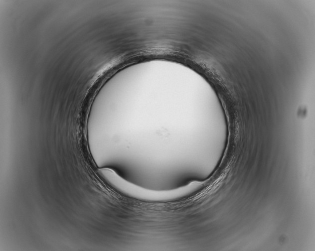 X0000097921210200804111130