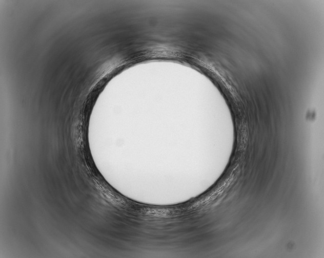 X0000097921211200804111130