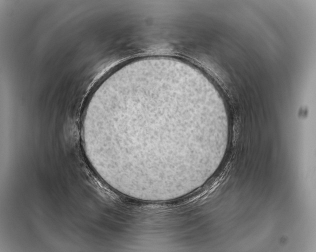 X0000097921212200804111130