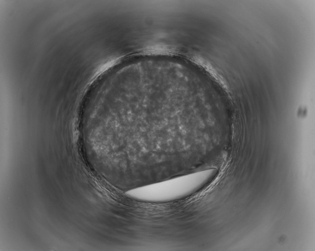 X0000097921213200804111130