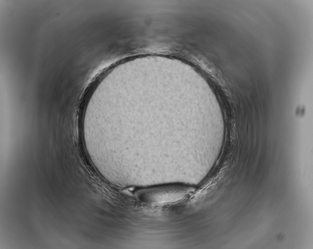 X0000097921214200804111130