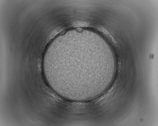 X0000097921217200804111130