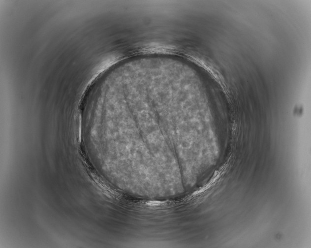 X0000097921219200804111131