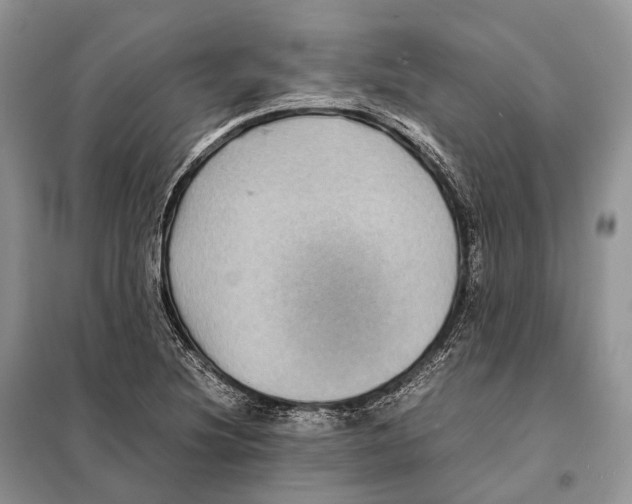 X0000097921220200804111131