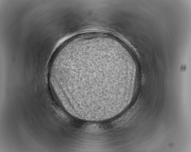 X0000097921222200804111131