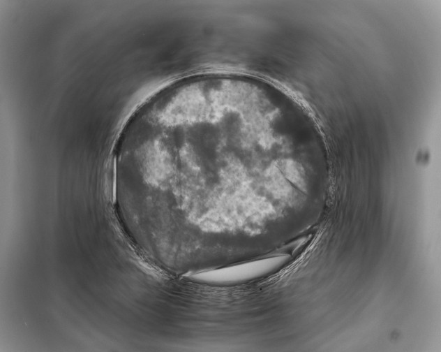 X0000097921223200804111131