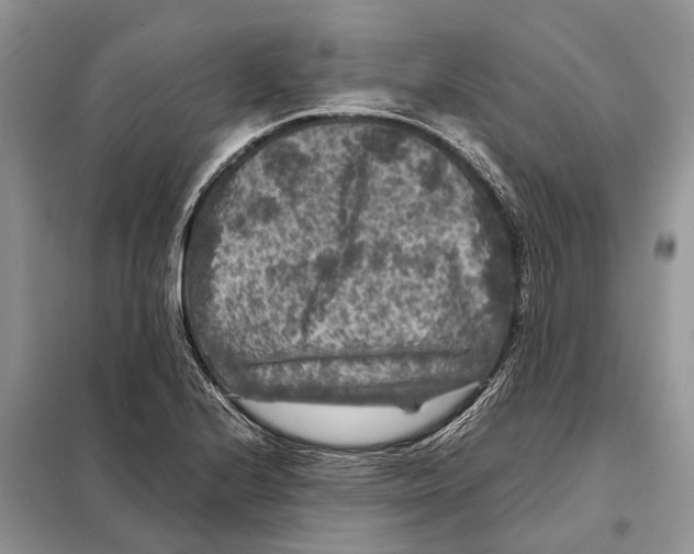 X0000097921224200804111131