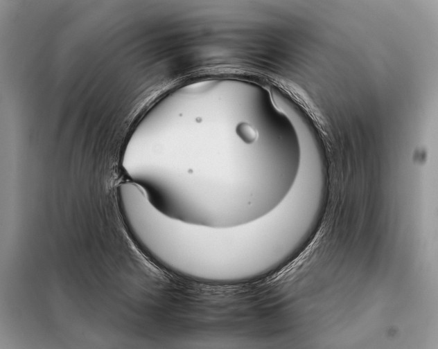 X0000097921225200804111131