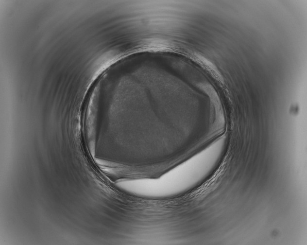 X0000097921226200804111131