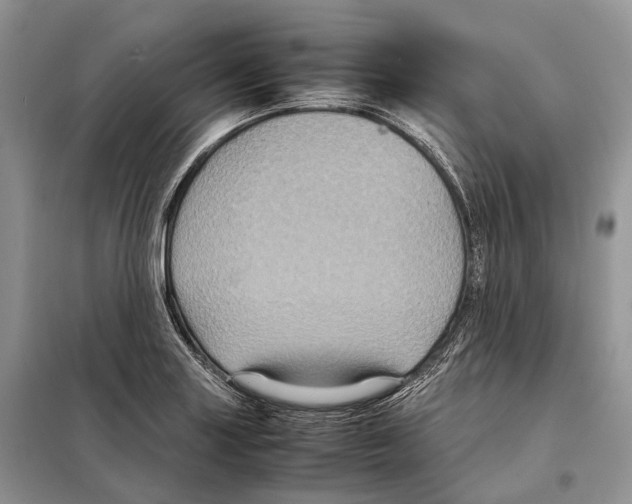 X0000097921227200804111131