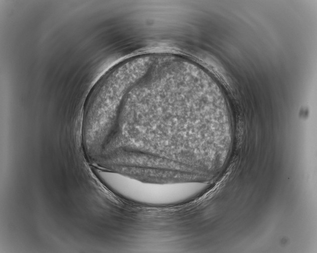 X0000097921228200804111131