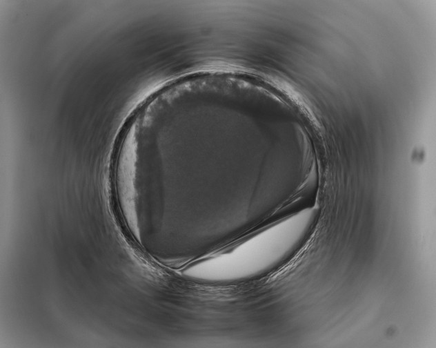 X0000097921229200804111131