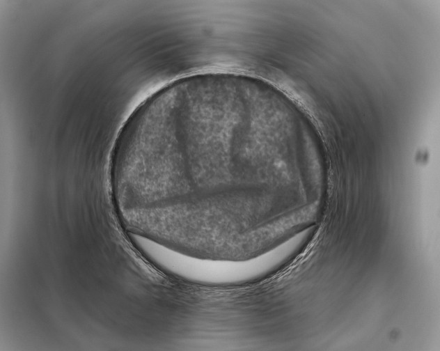 X0000097921230200804111131