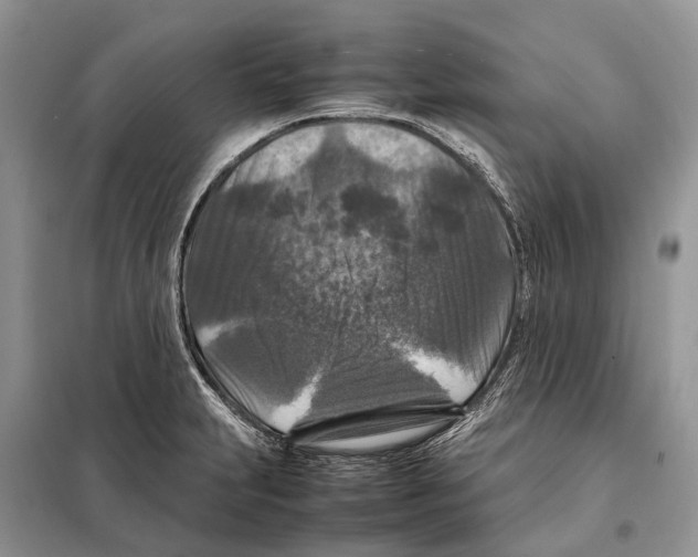 X0000097921231200804111131