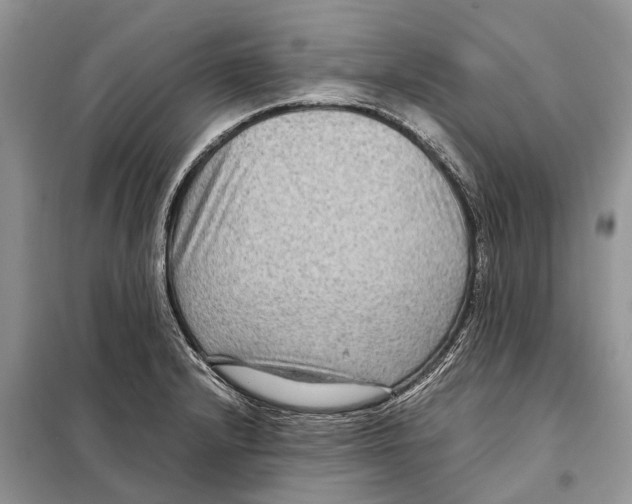 X0000097921232200804111131