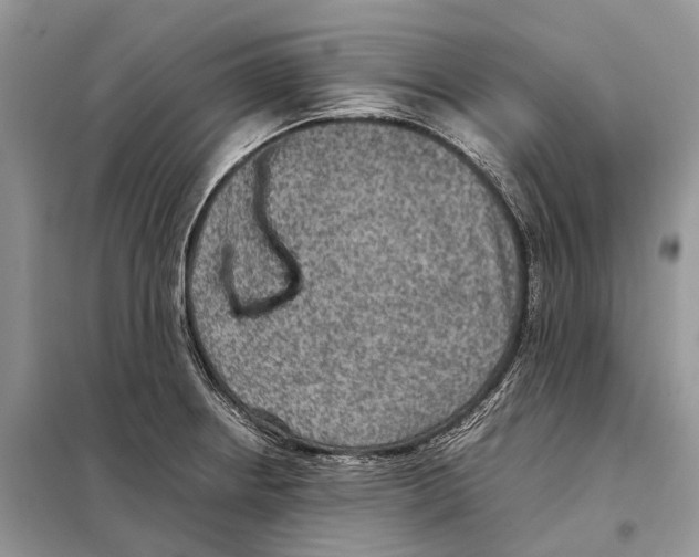 X0000097921234200804111131