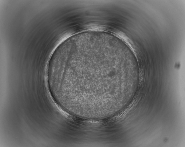 X0000097921235200804111131