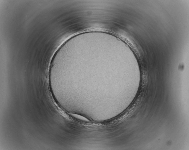 X0000097921236200804111131