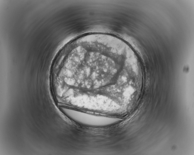 X0000097921237200804111131