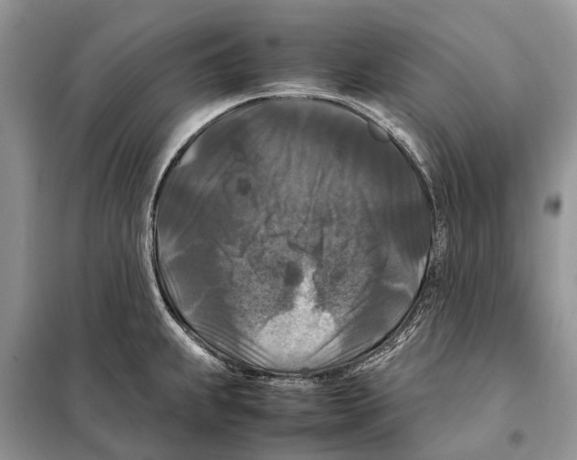 X0000097921239200804111131