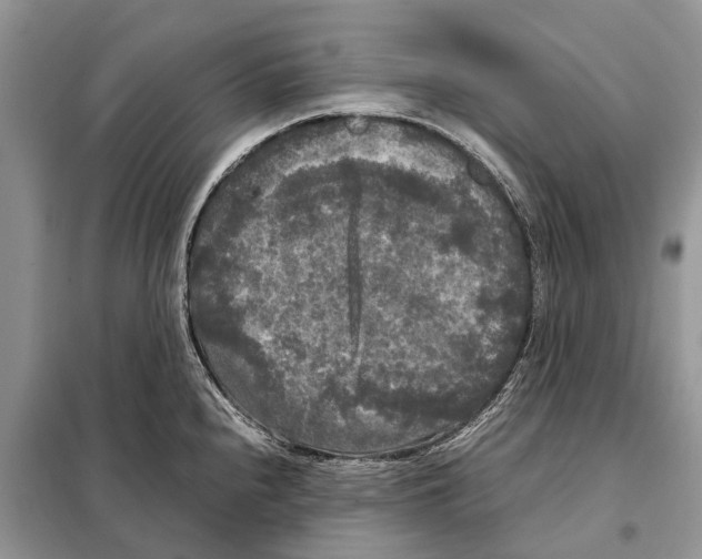 X0000097921240200804111131