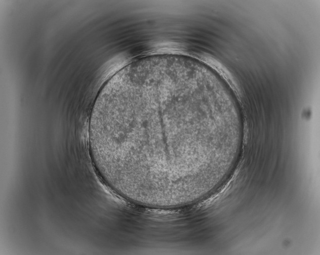 X0000097921241200804111131